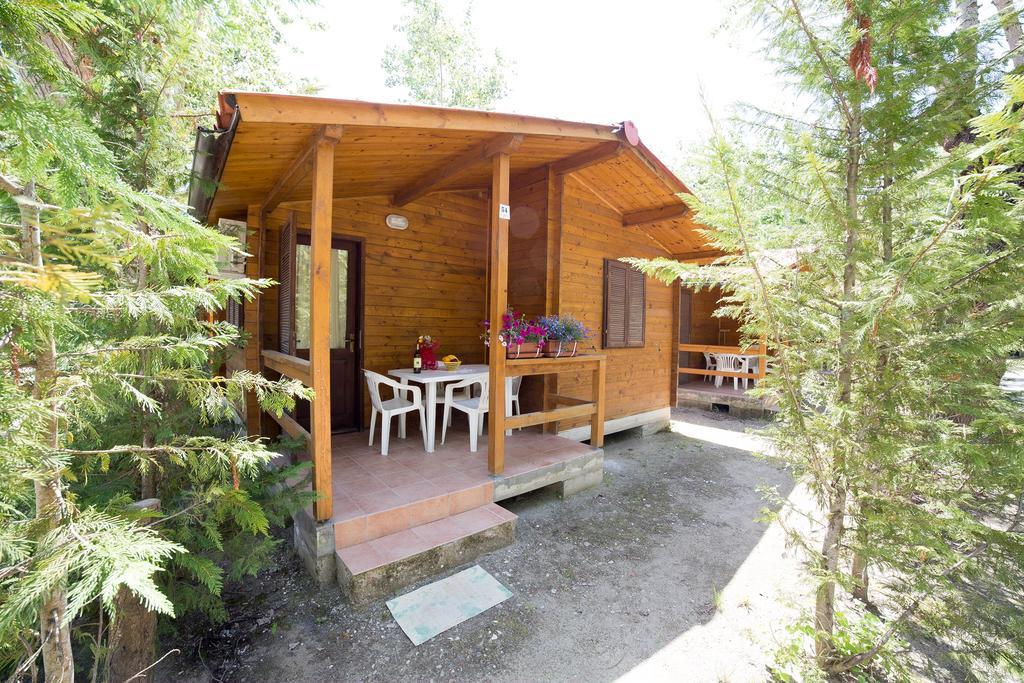 Camping Dei Tigli ตอร์เร เดล ลาโกปุชชีนี ห้อง รูปภาพ